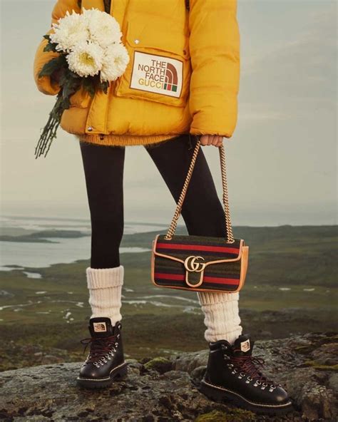 bob gucci tnf|Gucci north face campaign.